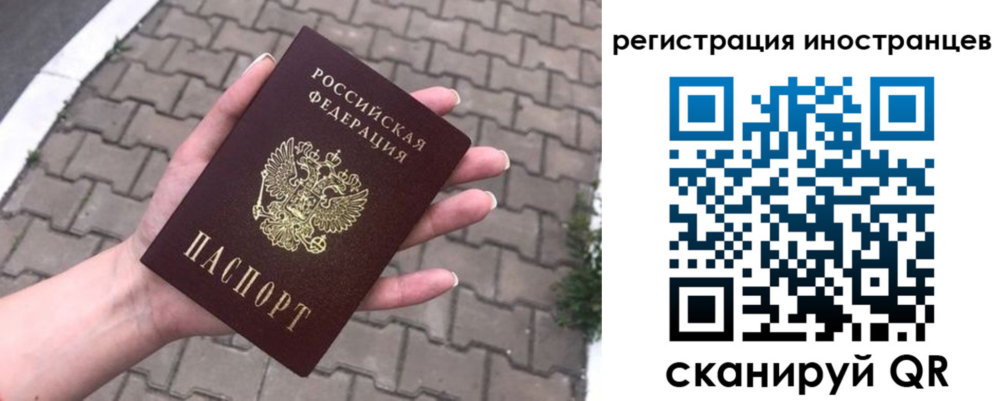 временная регистрация купить в Сольцах