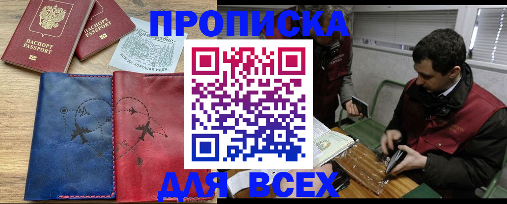 прописка в Сольцах